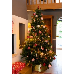 Een versierde kerstboom met rode en witte ballen, lichtjes en cadeau's eronder.