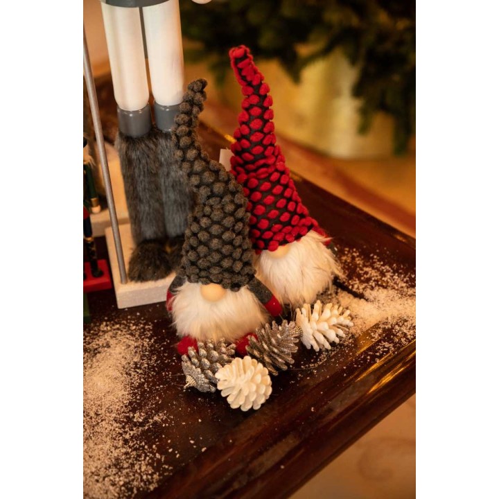 Twee schattige gnomes in rood en grijs met pluizige snuiten, omringd door dennenappels en sneeuw.