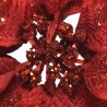 A close-up of a vibrant red flower adorned with shimmering sequins at its center.