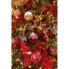 A festive arrangement of red and gold ornaments nestled among lush green pine branches.