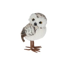 Schattige, pluizige uil met een zachte, witte en grijze vacht en bruinachtig poten.