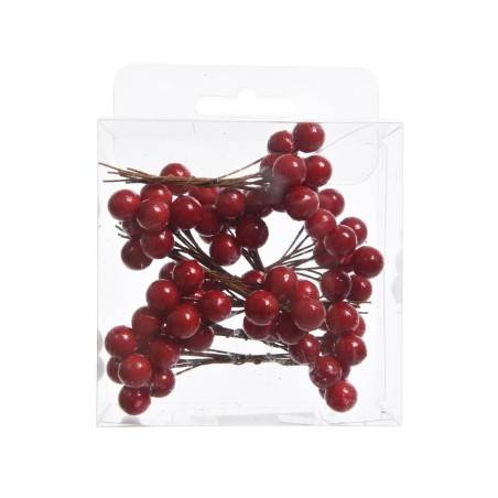 A clear plastic package holds clusters of vibrant red berries on thin brown stems.