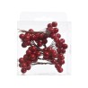 A clear plastic package holds clusters of vibrant red berries on thin brown stems.