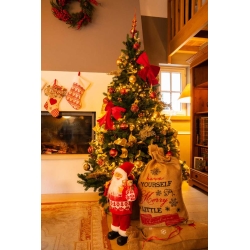 Kerstboom met lichtjes, versieringen en een grote zak met Sinterklaasfiguur en decoratieve kousen.