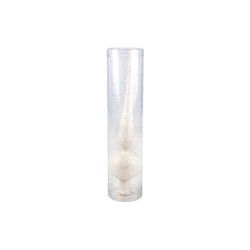 A clear cylindrical vase with a textured white interior resembling a shell.