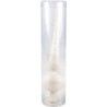 A clear cylindrical vase with a textured white interior resembling a shell.