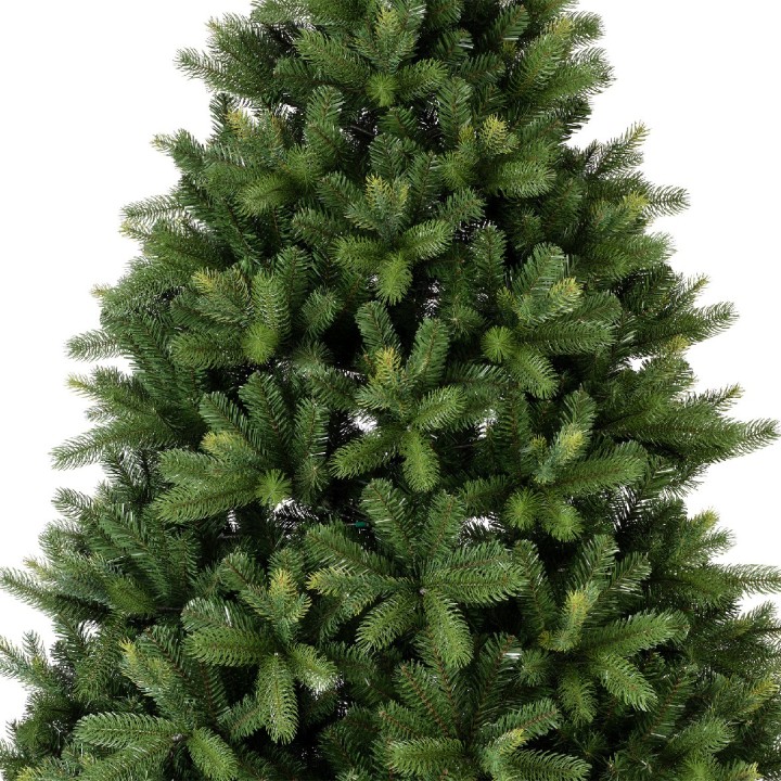 Groene, volle dennenboom met dicht op elkaar staande takken en een natuurlijke uitstraling.