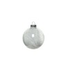 A glossy, clear ornament with a silver cap, featuring delicate white feather-like patterns inside.