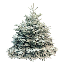 Een groene, kunstmatige kerstboom met een sneeuwachtige uitstraling en volle takken.