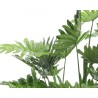 Lush green leaves with varying shapes create a vibrant, tropical feel.