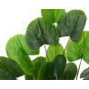 Vibrant green palm leaves with a fan shape, arranged in a lush, layered display.