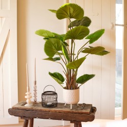 A lush green plant in a white pot, set on a rustic wooden table with candles and a wire basket.