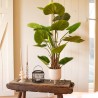 A lush green plant in a white pot, set on a rustic wooden table with candles and a wire basket.