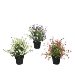 Three potted plants with vibrant flowers: purple, pink, and white, in black pots.