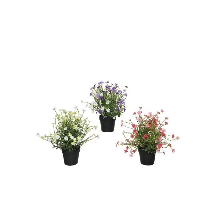 Drie bloempotten met kleurrijke bloemen in paars, roze en wit op een witte achtergrond.