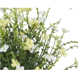 Delicate white and pale yellow flowers bloom among slender green stems.