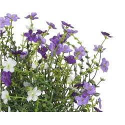 A vibrant bouquet of small purple and white flowers with delicate green stems.