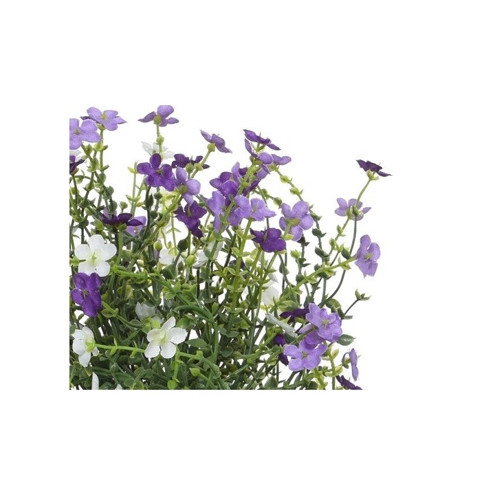 Paarse en witte bloemen met groene stelen, vrolijk en levendig, op een lichte achtergrond.
