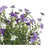 A vibrant bouquet of small purple and white flowers with delicate green stems.