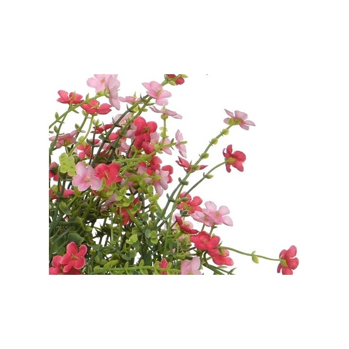 Een weelderige bos met delicate roze en groene bloempjes tegen een witte achtergrond.