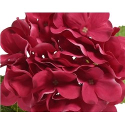 Diepe rode bloesems met golvende bladeren, samengevoegd in een weelderige bos.