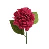 A vibrant, deep pink flower with layered petals, accompanied by two green leaves.