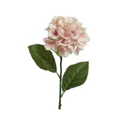 Romantische, zijden hortensia in zachte roze tinten, met glanzende groene bladeren.