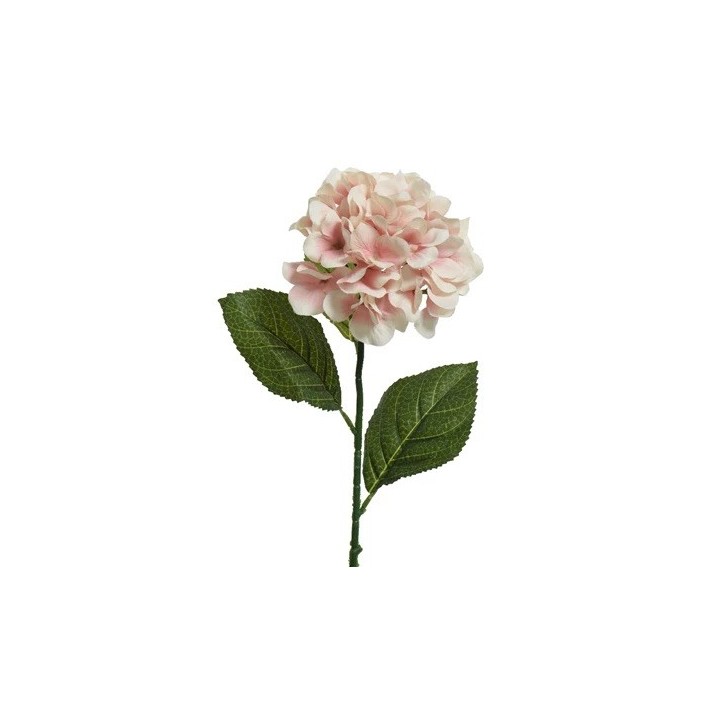 Romantische, zijden hortensia in zachte roze tinten, met glanzende groene bladeren.