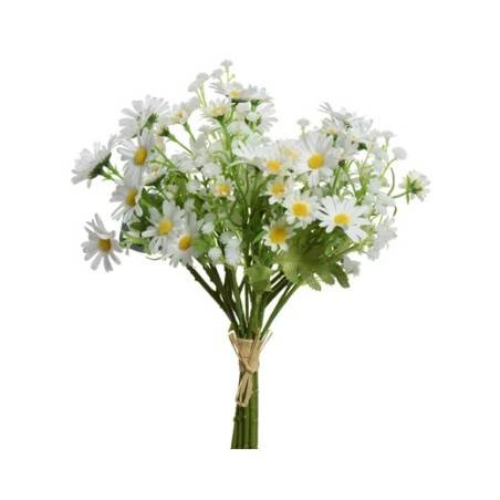 Een bosje witte madeliefjes met gele hartjes, omringd door groene bladeren.