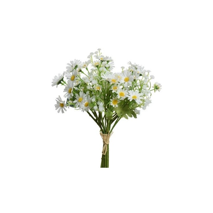 Een bosje witte madeliefjes met gele hartjes, omringd door groene bladeren.