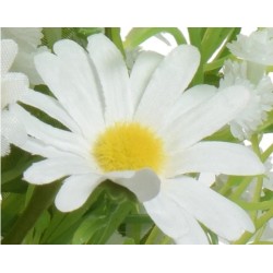 Een witte margriet met een heldergele kern, omringd door groene bladeren en andere bloemen.