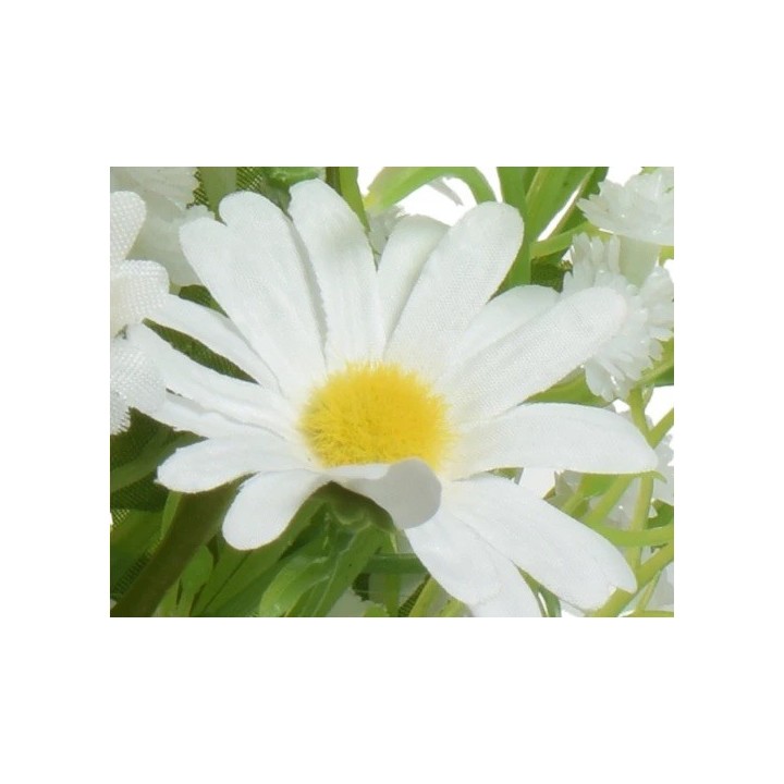 Een witte margriet met een heldergele kern, omringd door groene bladeren en andere bloemen.