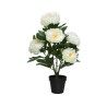 A potted faux plant with large, white peony flowers and lush green leaves.