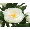A lush white peony flower with soft petals and vibrant yellow center, surrounded by green leaves.