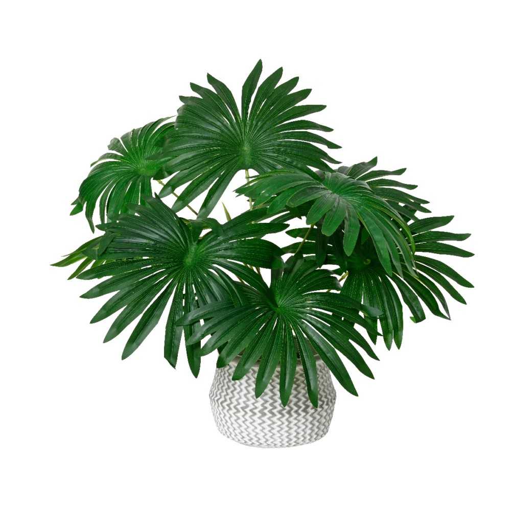 A lush arrangement of large, glossy green leaves in a woven white pot.