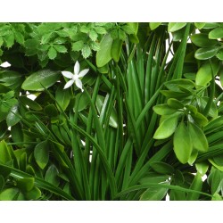 Lush green foliage with a single white flower amidst vibrant leaves.