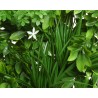 Lush green foliage with a single white flower amidst vibrant leaves.
