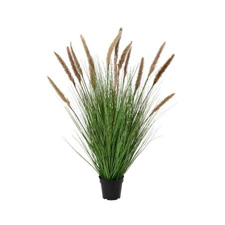 A lush arrangement of tall, green grass with feathery brown tips in a black pot.