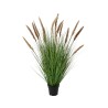 A lush arrangement of tall, green grass with feathery brown tips in a black pot.