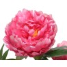 A vibrant pink peony with layered, soft petals and a bright yellow center.