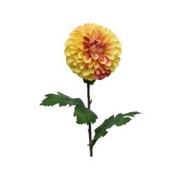 A vibrant yellow and orange dahlia flower with lush green leaves on a slender stem.