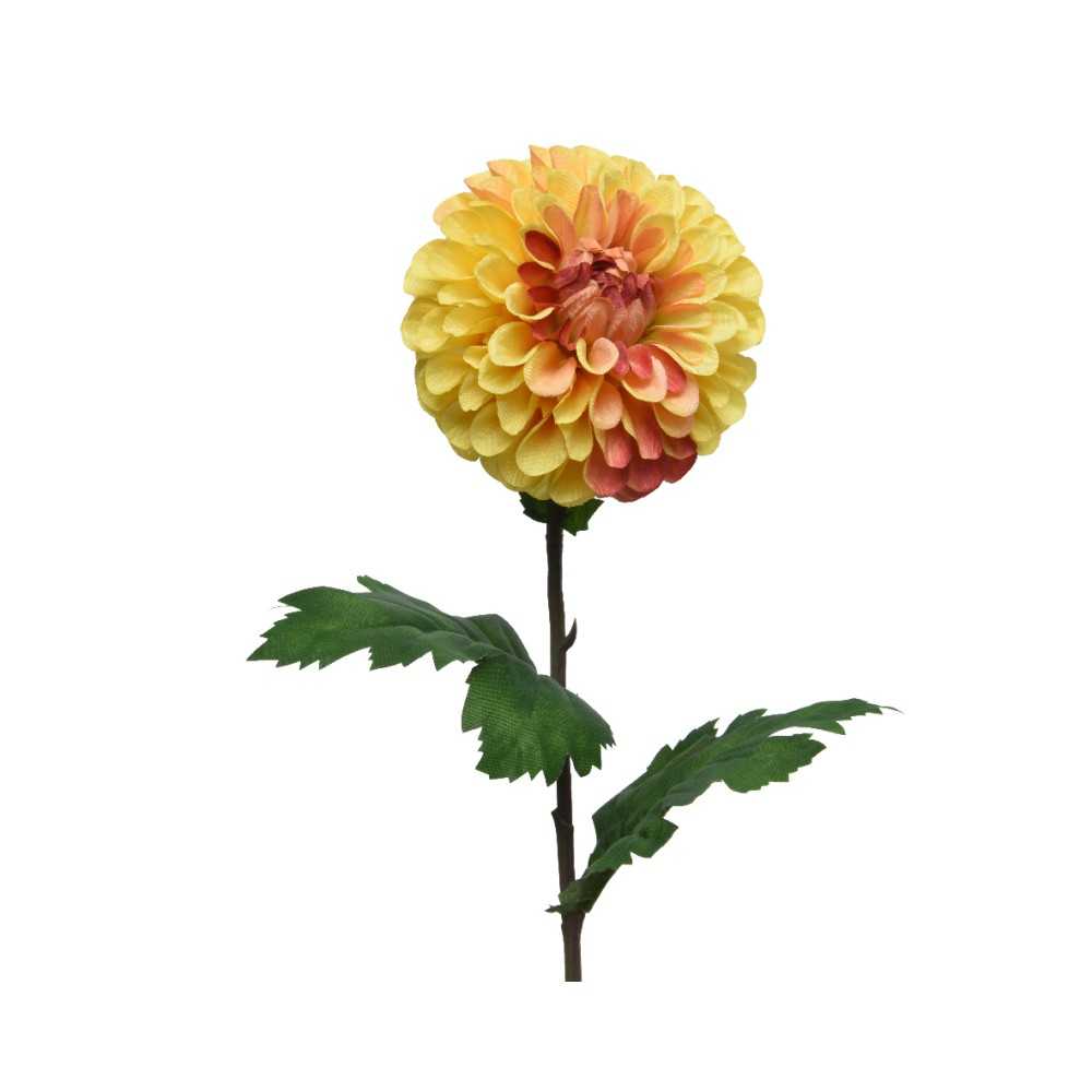 Een grote, ronde, geel-oranje dahlia met groene bladeren op een lange steel.