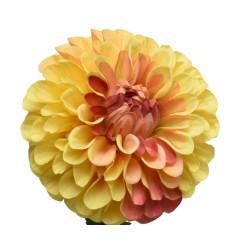 A large, vibrant yellow flower with layered petals, featuring hints of orange at the center.
