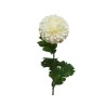 Witte chrysant met volle bloemblaadjes op een groene steel met bladeren.