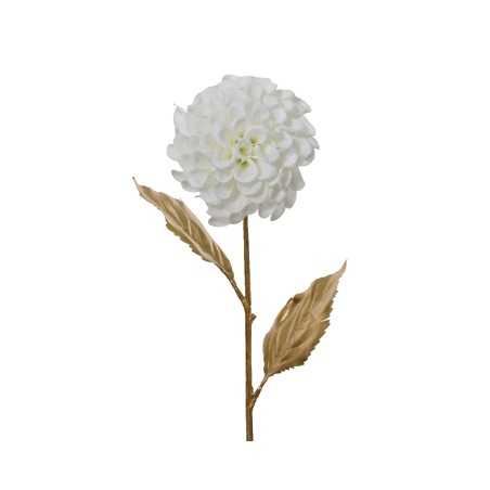 A delicate white flower with layered petals on a slender gold stem and leaves.