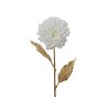 A delicate white flower with layered petals on a slender gold stem and leaves.