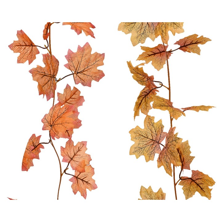 Twee takken met herfstbladeren in warme tinten van oranje en bruin, gedetailleerde aders zichtbaar.