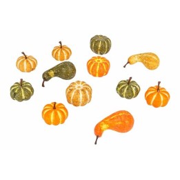 Een kleurrijke verzameling kleine pompoenen in groen, oranje en geel, variërend in vormen.