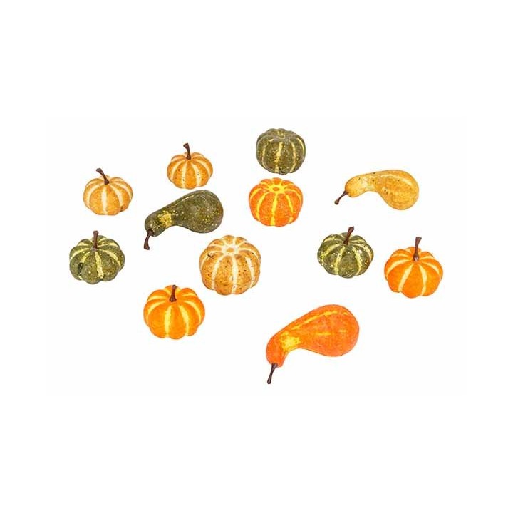 Een kleurrijke verzameling kleine pompoenen in groen, oranje en geel, variërend in vormen.