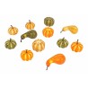 A variety of small decorative gourds in orange, green, and yellow shades.